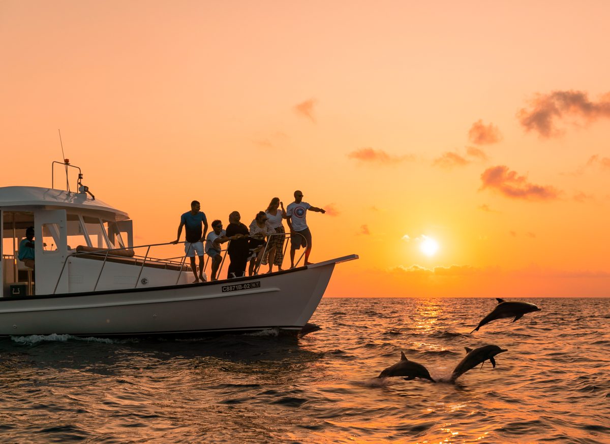 Dolphin-watching tour